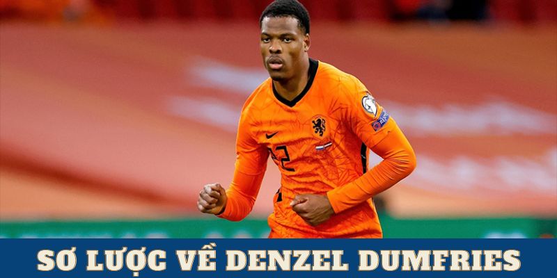 Giới thiệu sơ lược về Denzel Dumfries